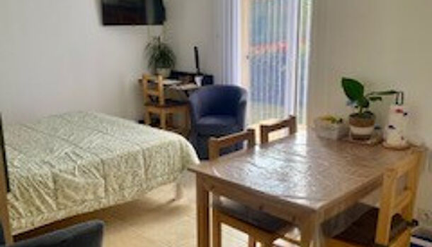 Appartement 1 pièces  à louer Amélie-les-Bains-Palalda 66110