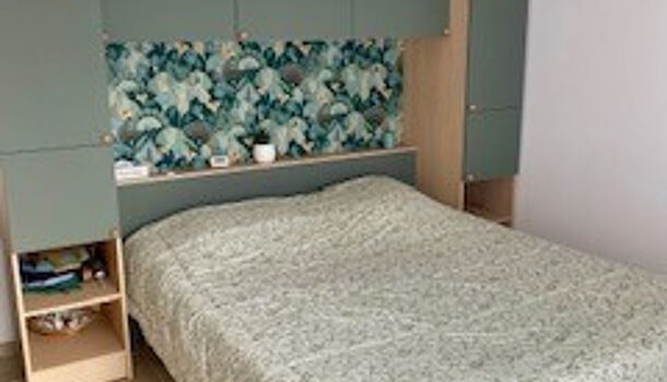 Appartement 1 pièces  à louer Amélie-les-Bains-Palalda 66110