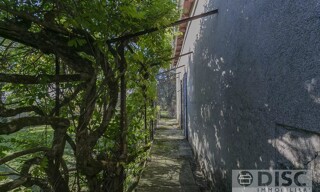 Photo N° 4