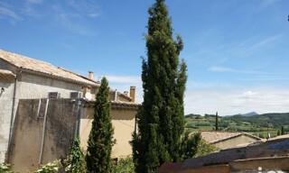 Photo N° 13