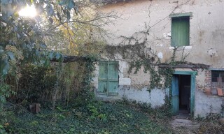Photo N° 8