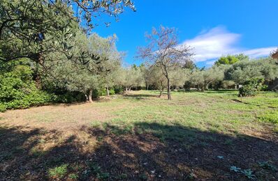 vente terrain 299 000 € à proximité de Galargues (34160)