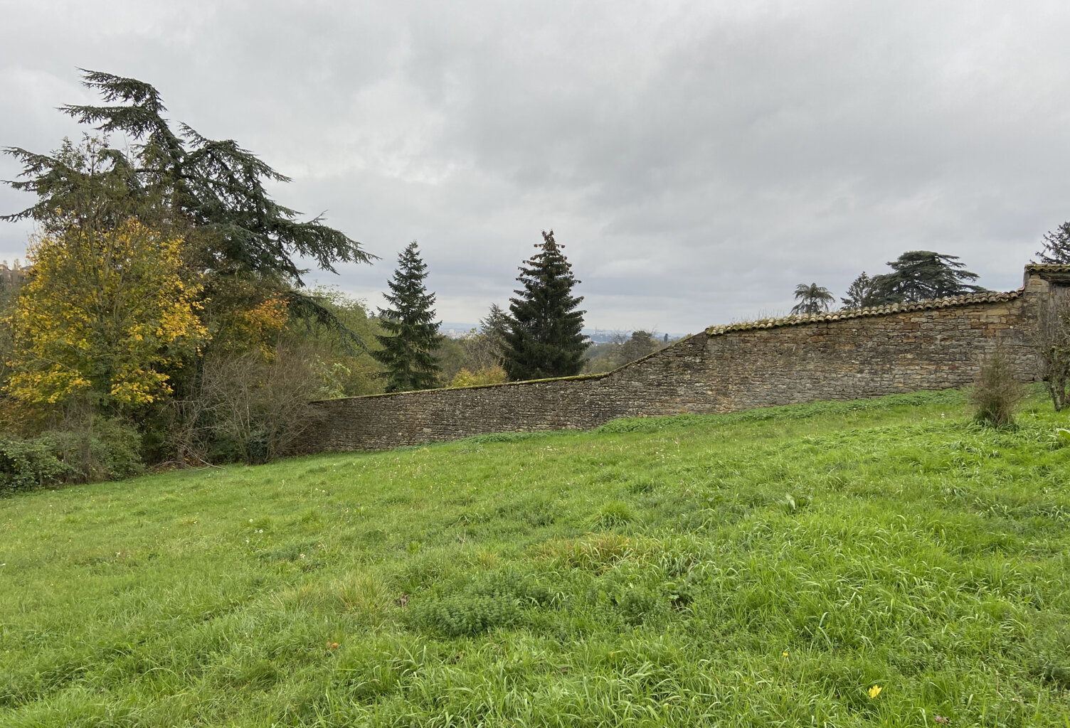St Didier au Mont d'Or — photo 1