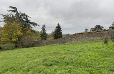 St Didier au Mont d'Or — photo du bien