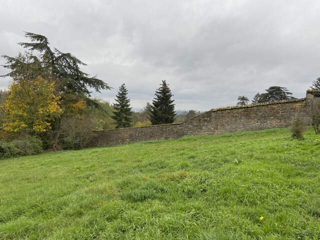 St Didier au Mont d'Or — photo du bien