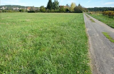 terrain  pièces 10440 m2 à vendre à Puy-l'Évêque (46700)