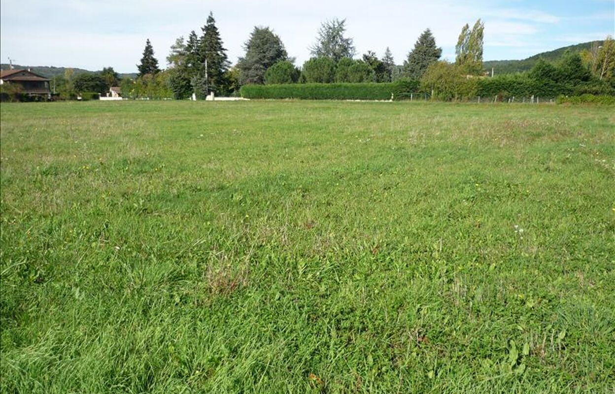 terrain  pièces 10440 m2 à vendre à Puy-l'Évêque (46700)