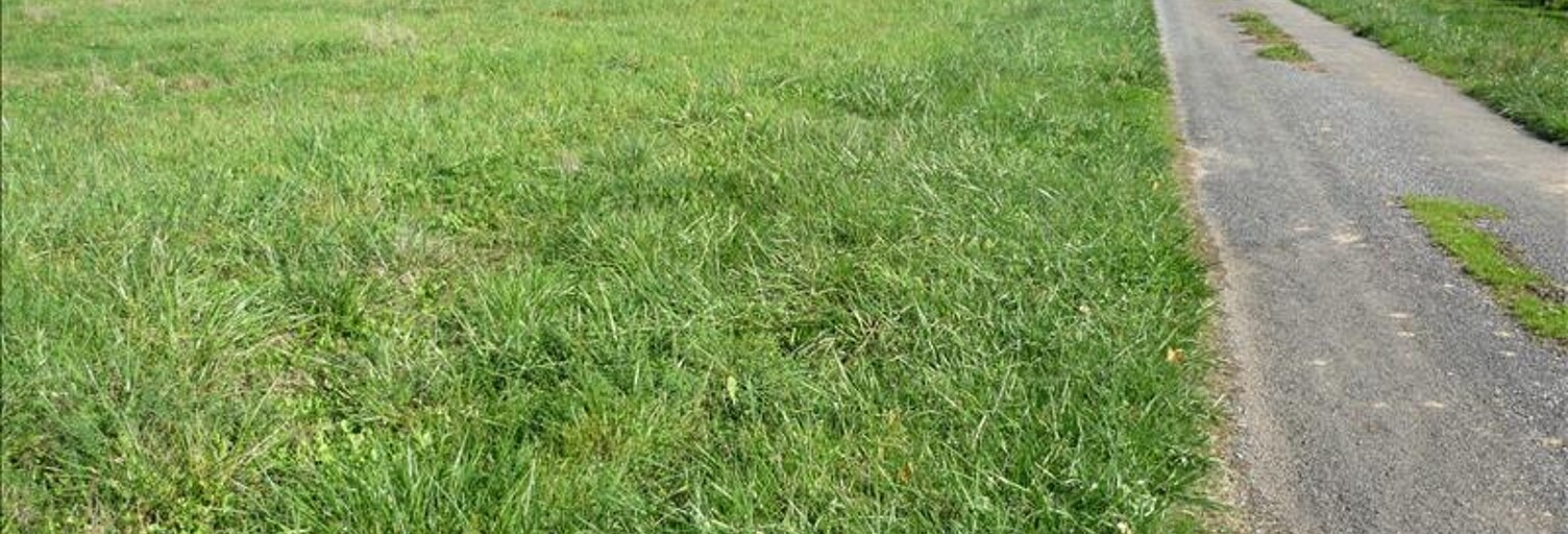 Terrain  10440 m² à vendre à Puy-l'Évêque (46700)