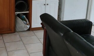 Photo N° 4