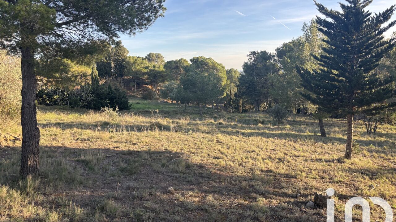 terrain  pièces 971 m2 à vendre à Lézignan-Corbières (11200)