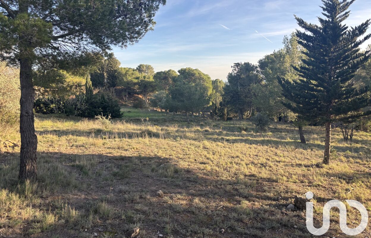 terrain  pièces 971 m2 à vendre à Lézignan-Corbières (11200)