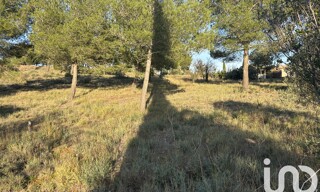 Photo N° 4