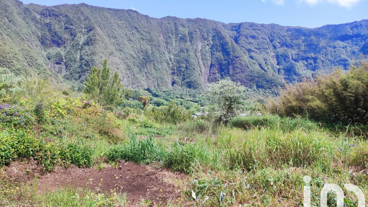 terrain  pièces 1000 m2 à vendre à La Plaine-des-Palmistes (97431)