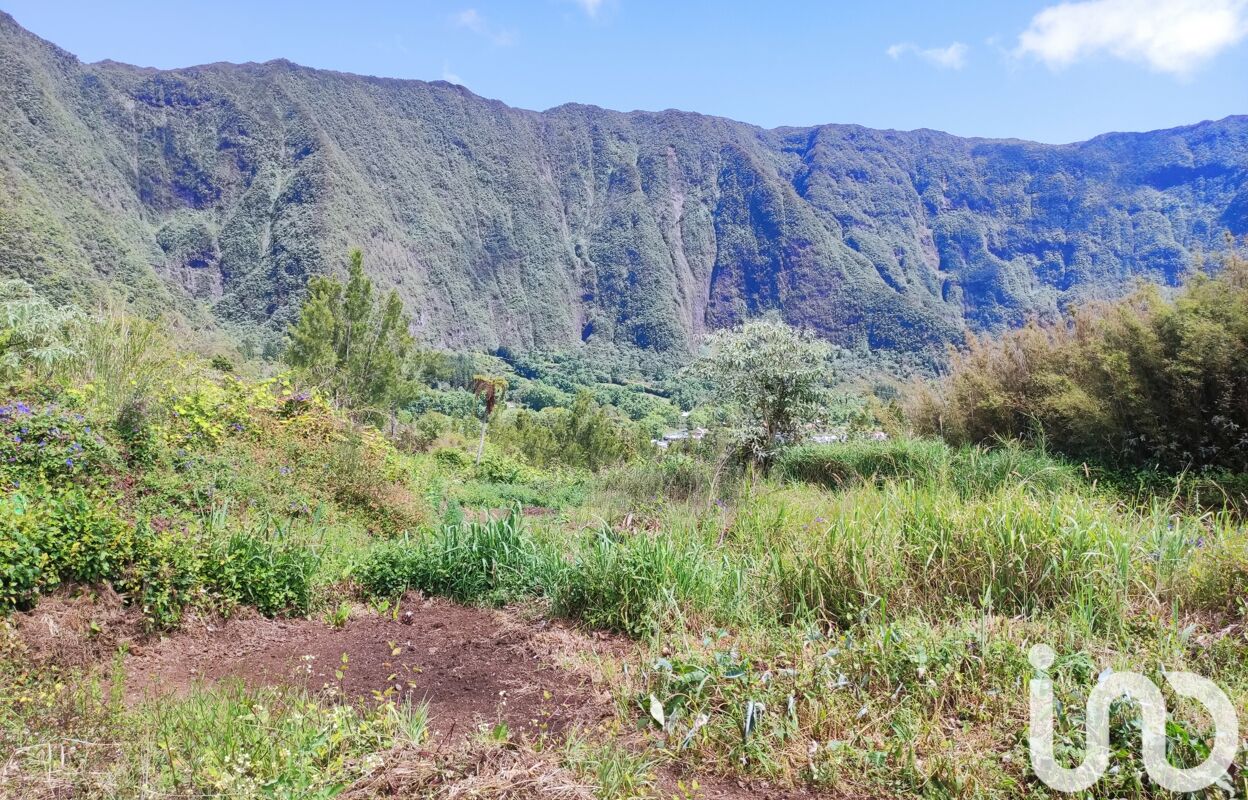 terrain  pièces 1000 m2 à vendre à La Plaine-des-Palmistes (97431)