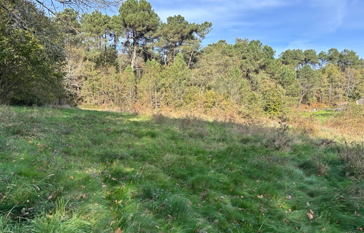 terrain  pièces 1100 m2 à vendre à Sourzac (24400)