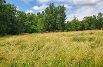 terrain  pièces 1269 m2 à vendre à Mios (33380)