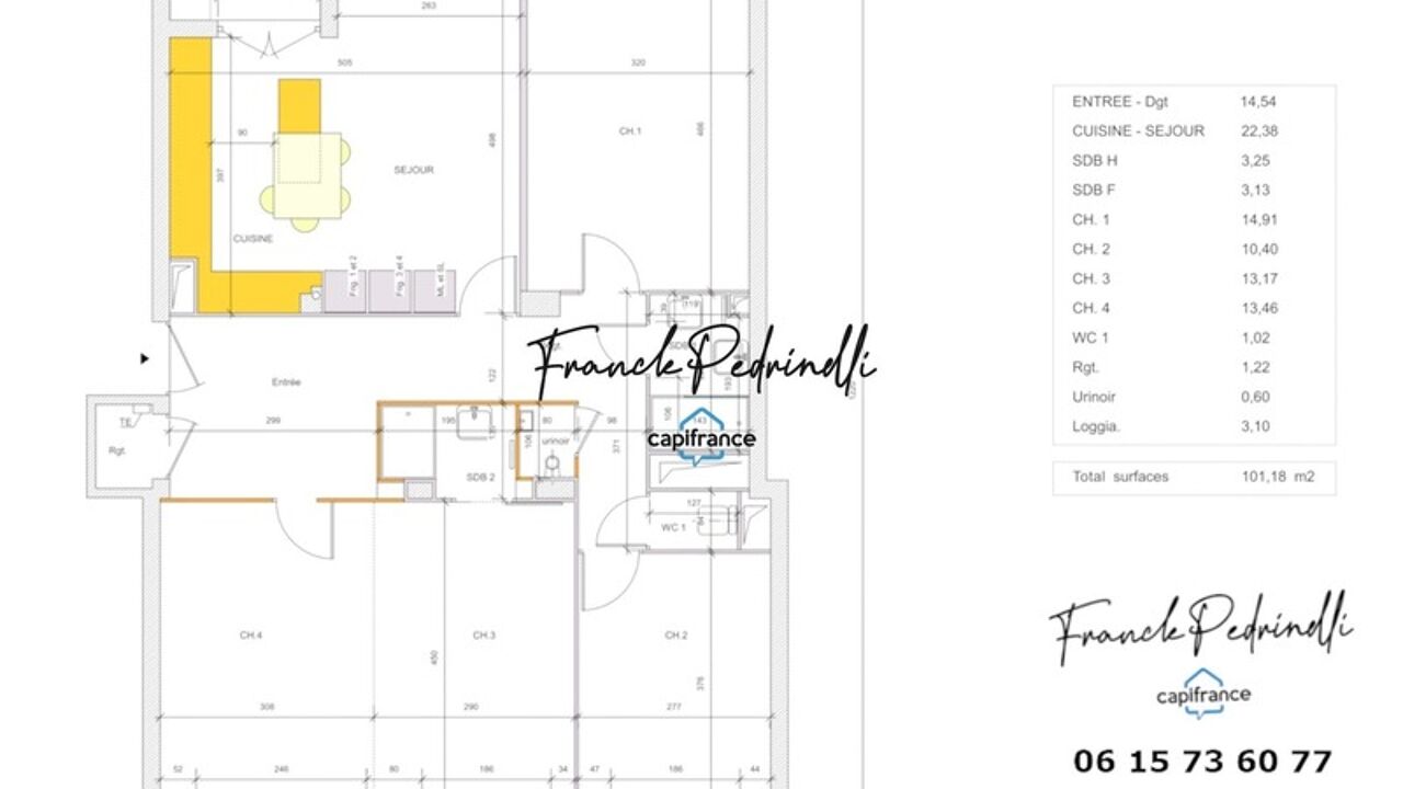 appartement 5 pièces 100 m2 à vendre à Villeurbanne (69100)