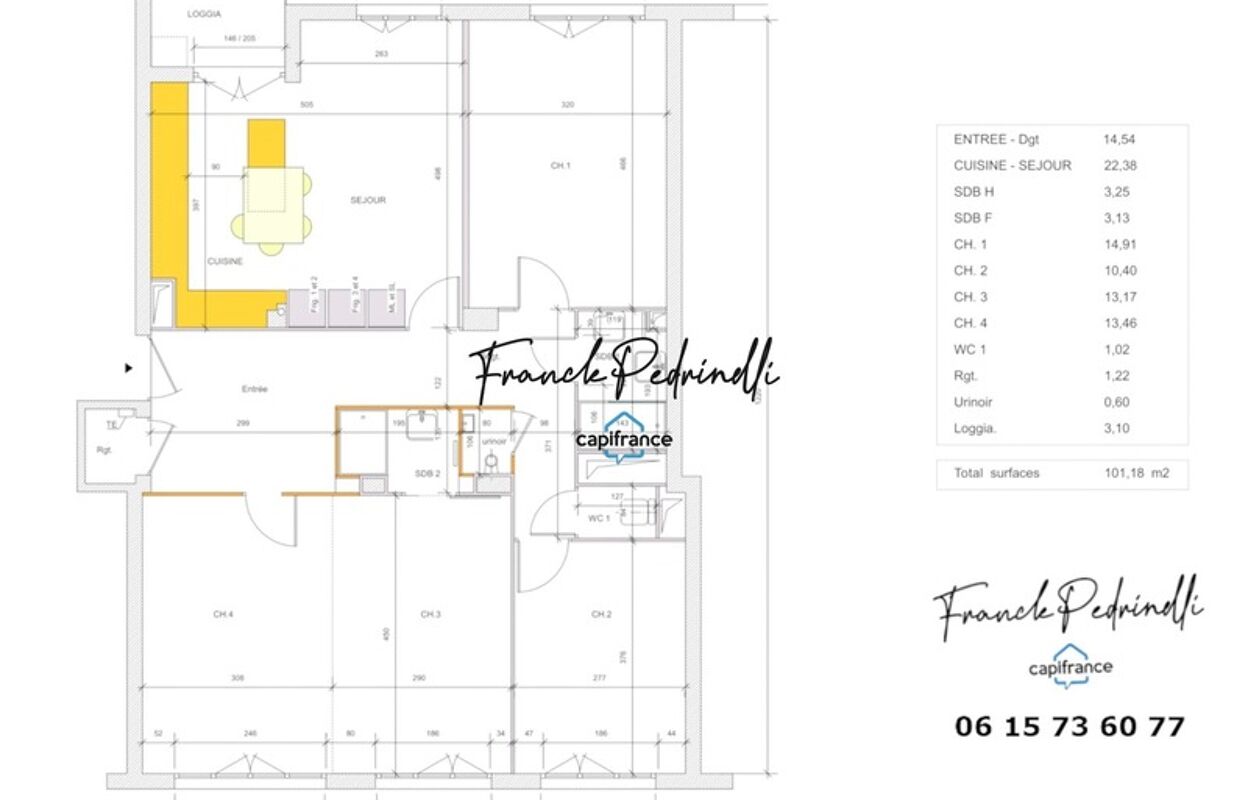 appartement 5 pièces 100 m2 à vendre à Villeurbanne (69100)