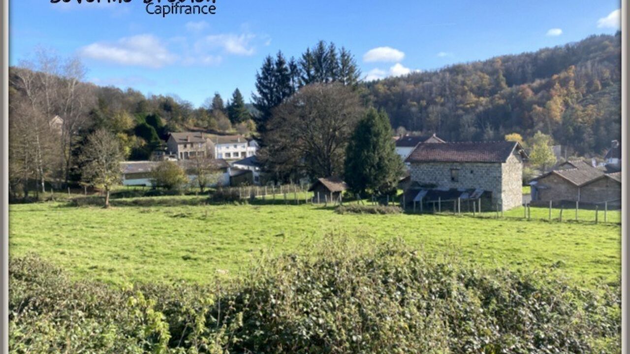 terrain  pièces 2545 m2 à vendre à Celles-sur-Durolle (63250)