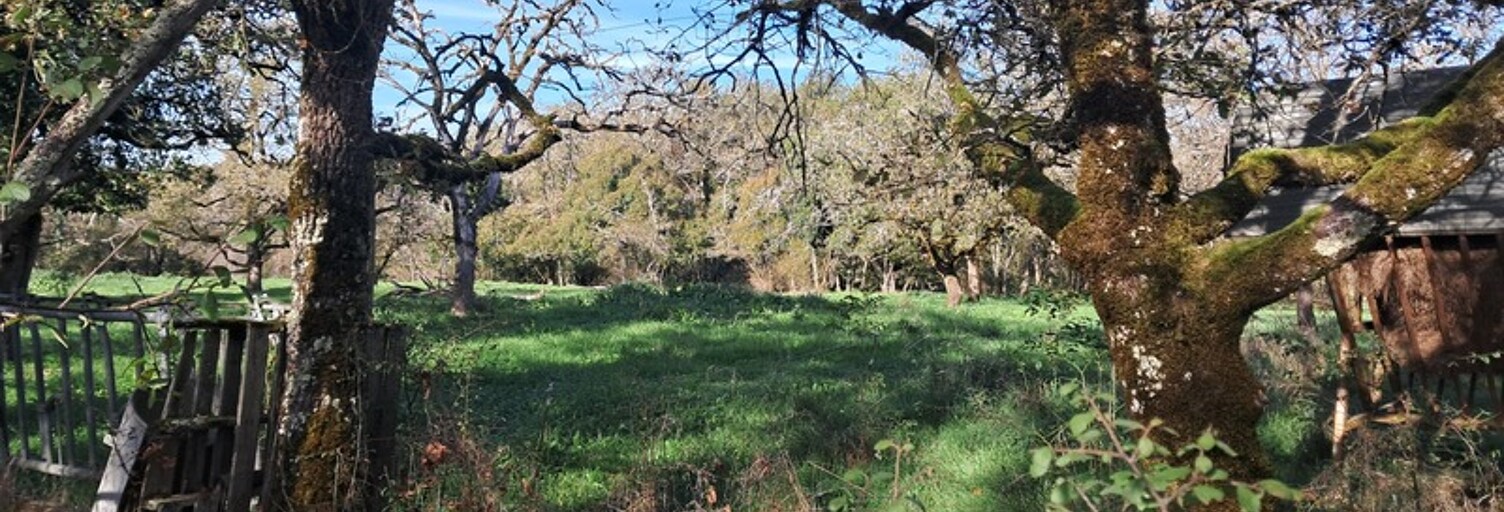 Terrain  2000 m² à vendre à Lanzac (46200)