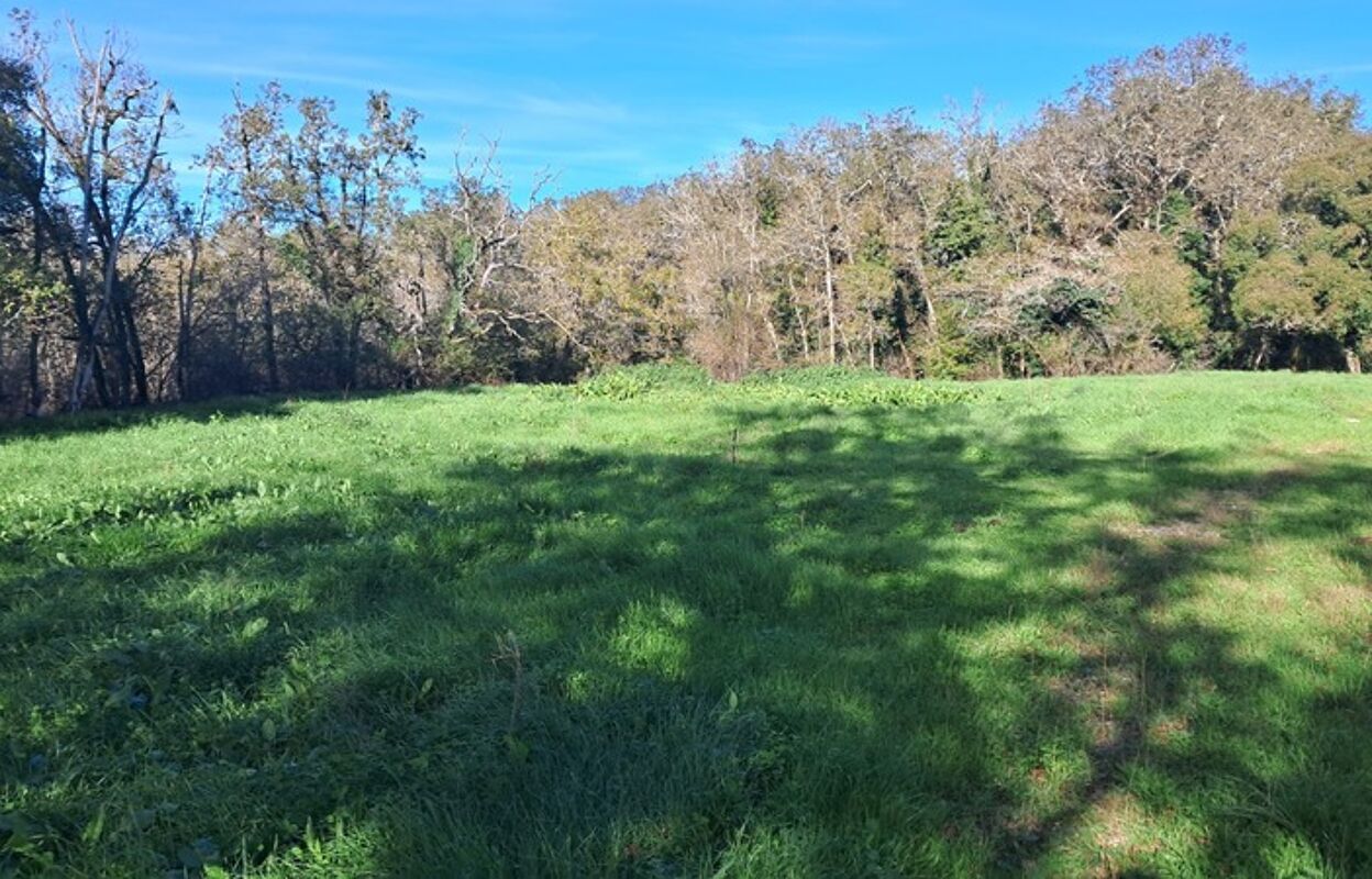 terrain  pièces 2000 m2 à vendre à Lanzac (46200)