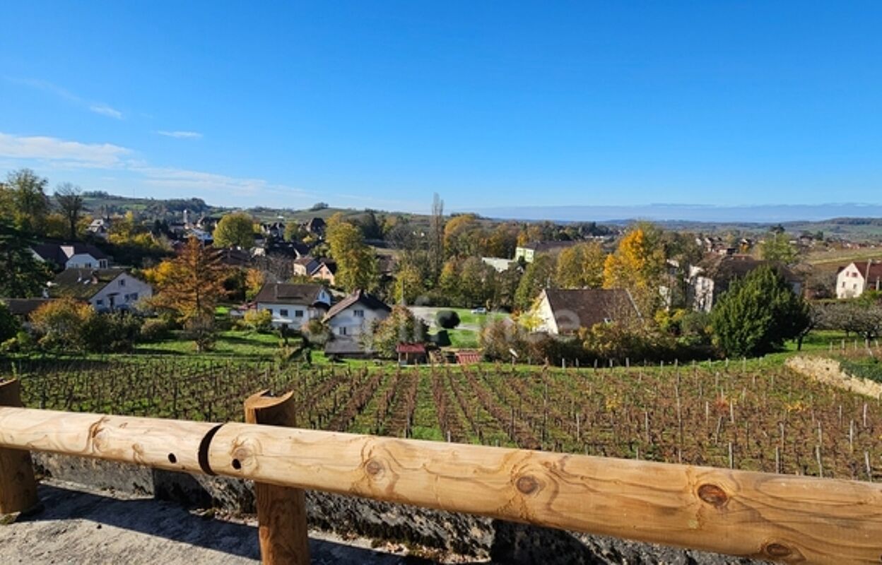 terrain  pièces 3014 m2 à vendre à Arbois (39600)