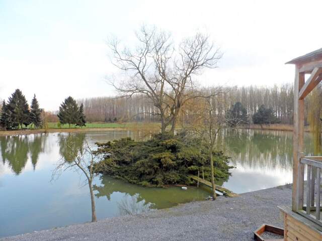 Etang avec hutte de chasse, et chalet d'habitation en plain- — photo du bien