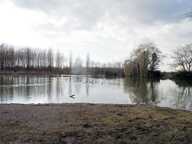 Etang avec hutte de chasse, et chalet d'habitation en plain- — photo 2