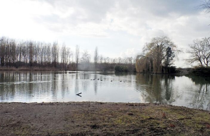 Etang avec hutte de chasse, et chalet d'habitation en plain- — photo 2
