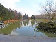Etang avec hutte de chasse, et chalet d'habitation en plain- — photo 3