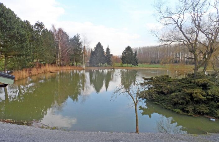 Etang avec hutte de chasse, et chalet d'habitation en plain- — photo 3