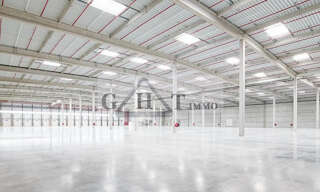 Local industriel  50331 m² à louer à Gretz-Armainvilliers (77220)