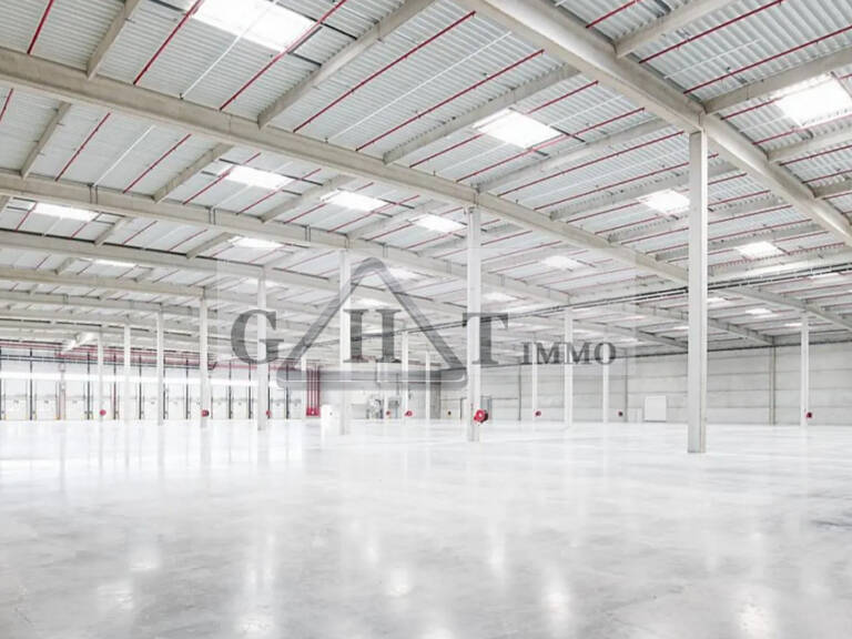 ENTREPOT  50 000 M² A LOUER GRETZ — photo 1