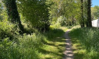 Photo N° 3