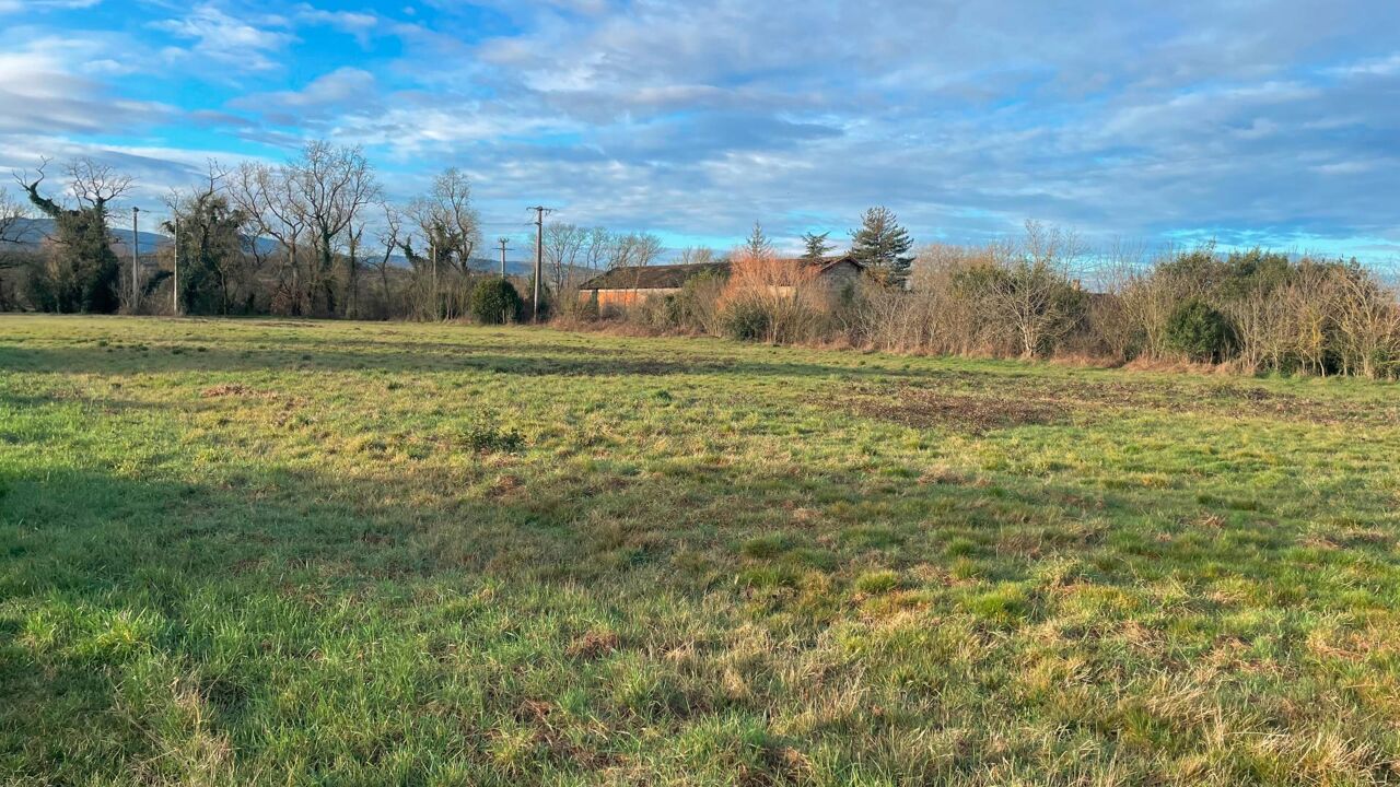 terrain  pièces 5760 m2 à vendre à Castres (81100)