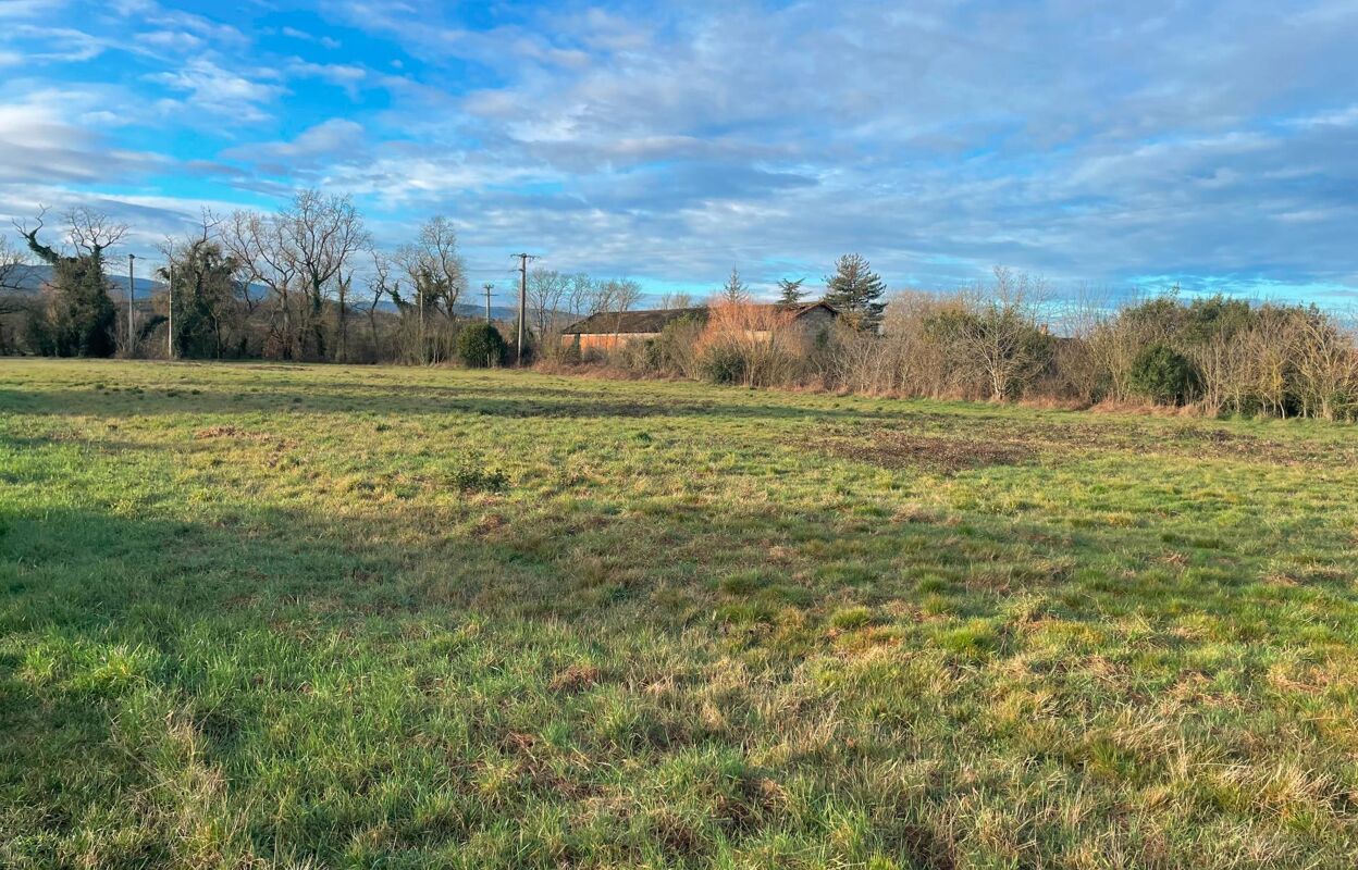 terrain  pièces 5760 m2 à vendre à Castres (81100)