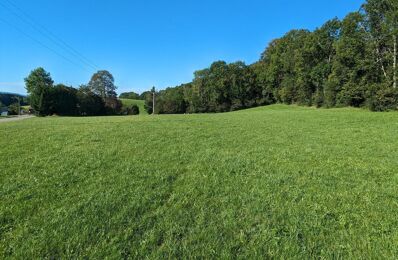 terrain  pièces 4523 m2 à vendre à Foncine-le-Haut (39460)