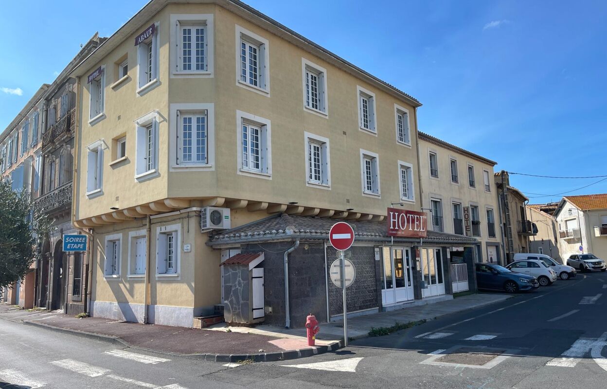 commerce 15 pièces 350 m2 à vendre à Agde (34300)