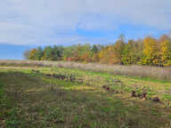 Terrain - 871 m² - PARCAY MESLAY — photo 2