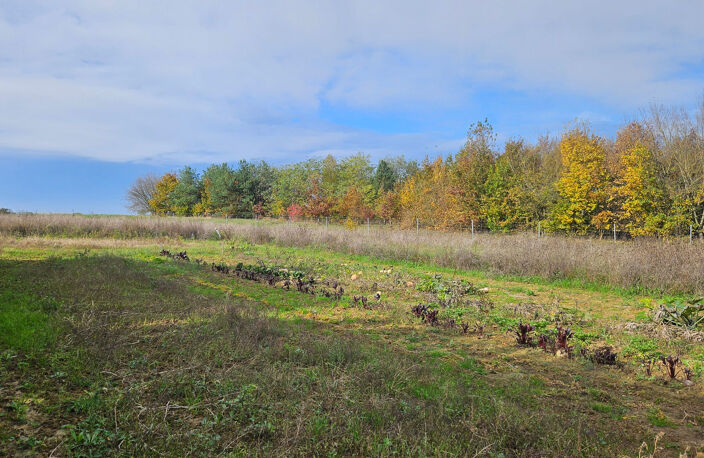 Terrain - 871 m² - PARCAY MESLAY — photo 2