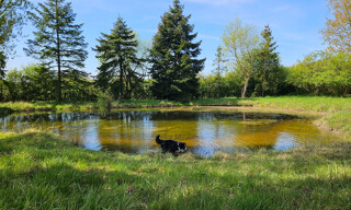 Photo N° 3