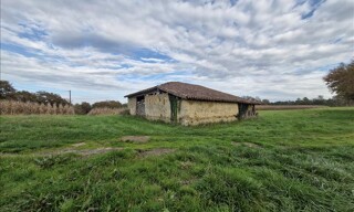 Photo N° 3