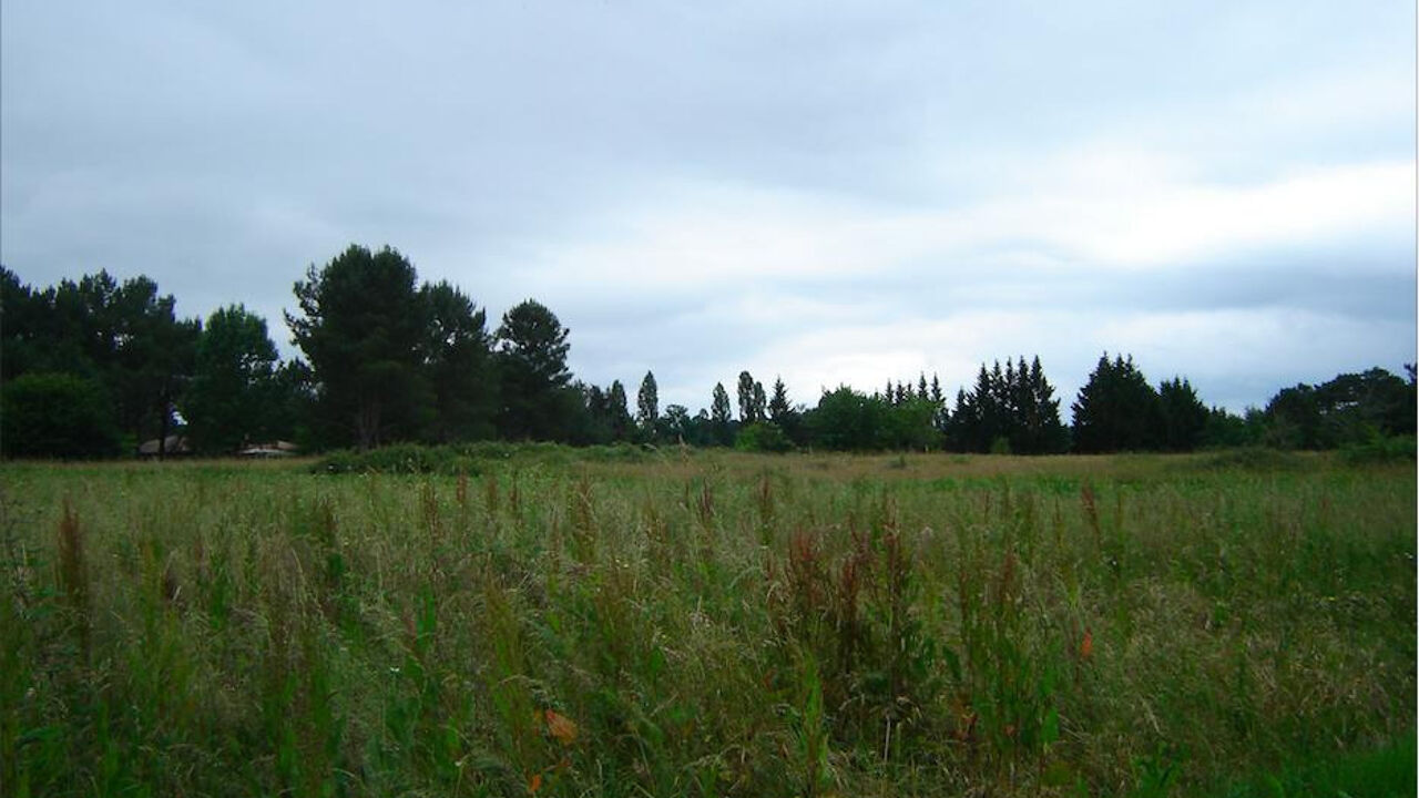 terrain  pièces 2500 m2 à vendre à Saint-Michel-de-Double (24400)