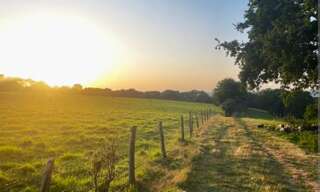 Terrain  2070 m² à vendre à Férel (56130)