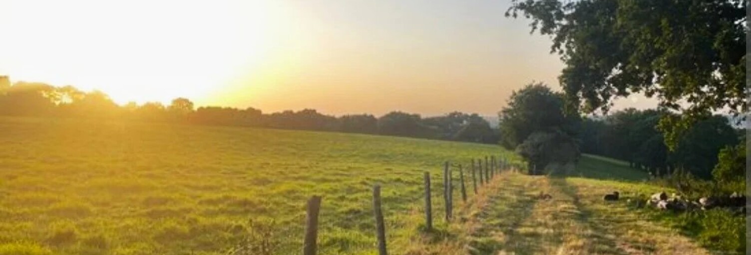 Terrain  2070 m² à vendre à Férel (56130)