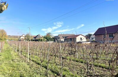 vente terrain 219 000 € à proximité de Soultz-Haut-Rhin (68360)