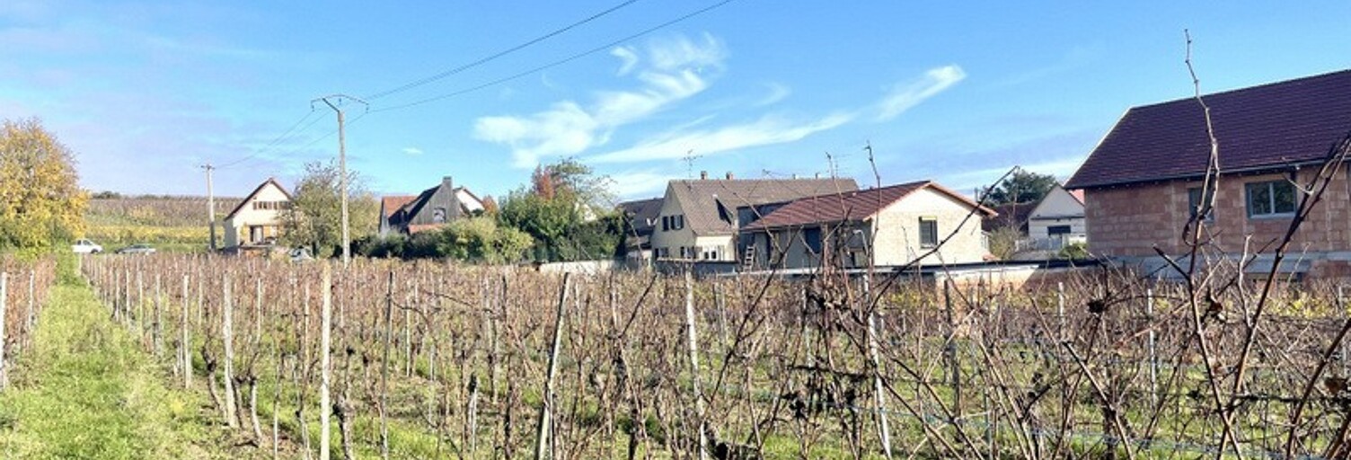 Terrain  2112 m² à vendre à Obermorschwihr (68420)