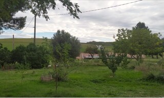 Photo N° 4