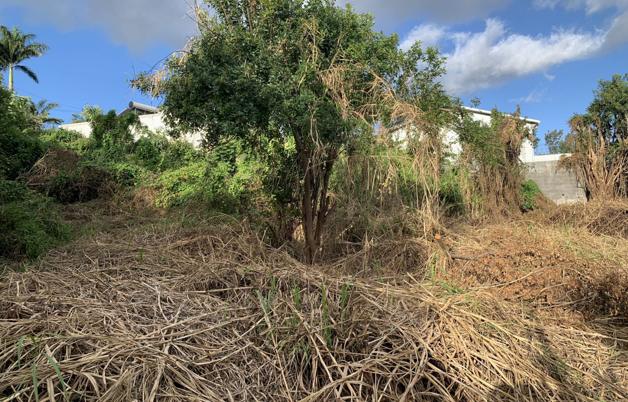 terrain  pièces 1172 m2 à vendre à Le Tampon (97430)