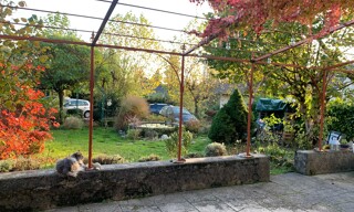 Photo N° 4